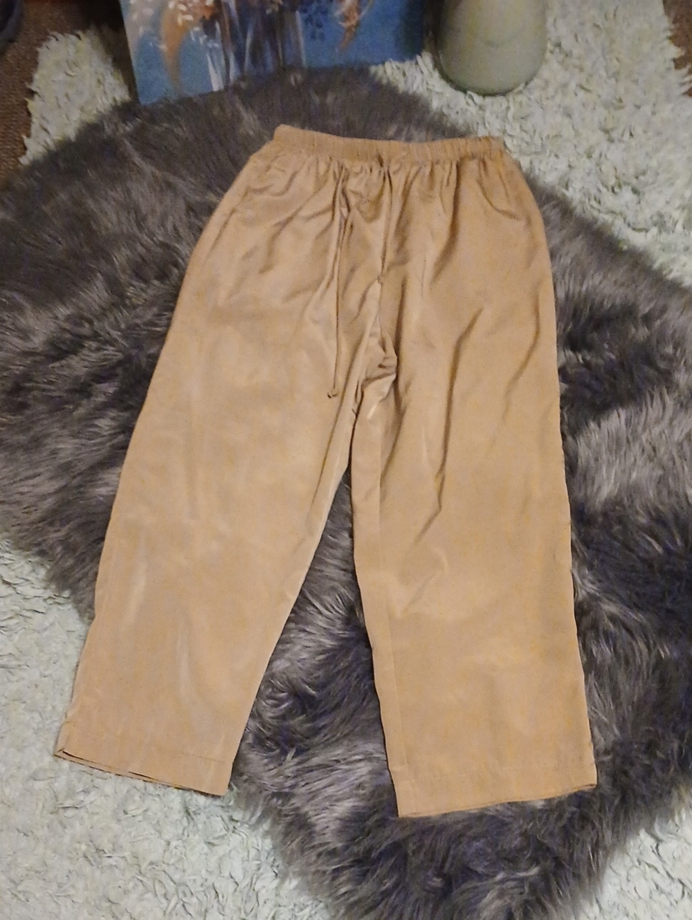 Susan Graver Classic Drawstring Chinos in Light Tan
